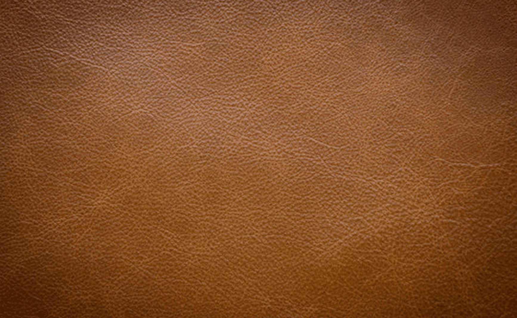 Leather Texture Background